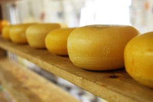 fromage meule