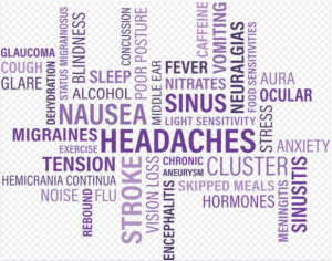 hormones thyroïde système endocrinien