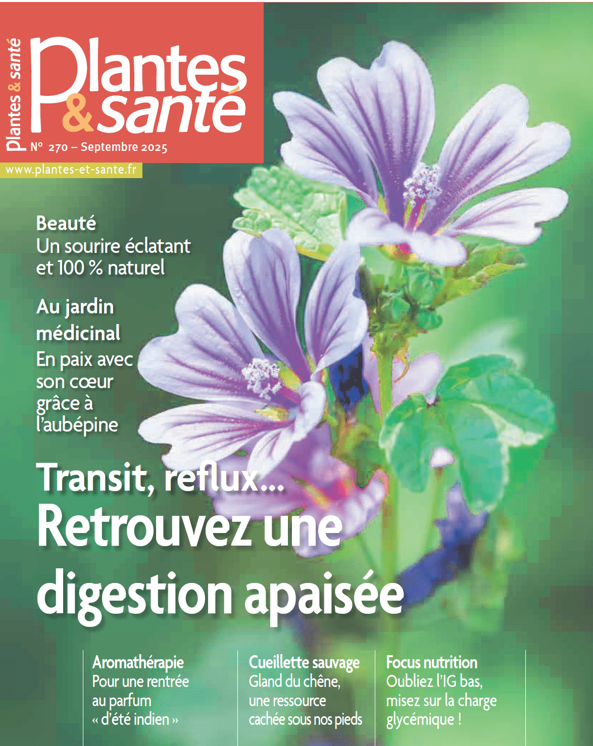 Plantes et Santé - Article Focus Nutrition - Charge Glycémique