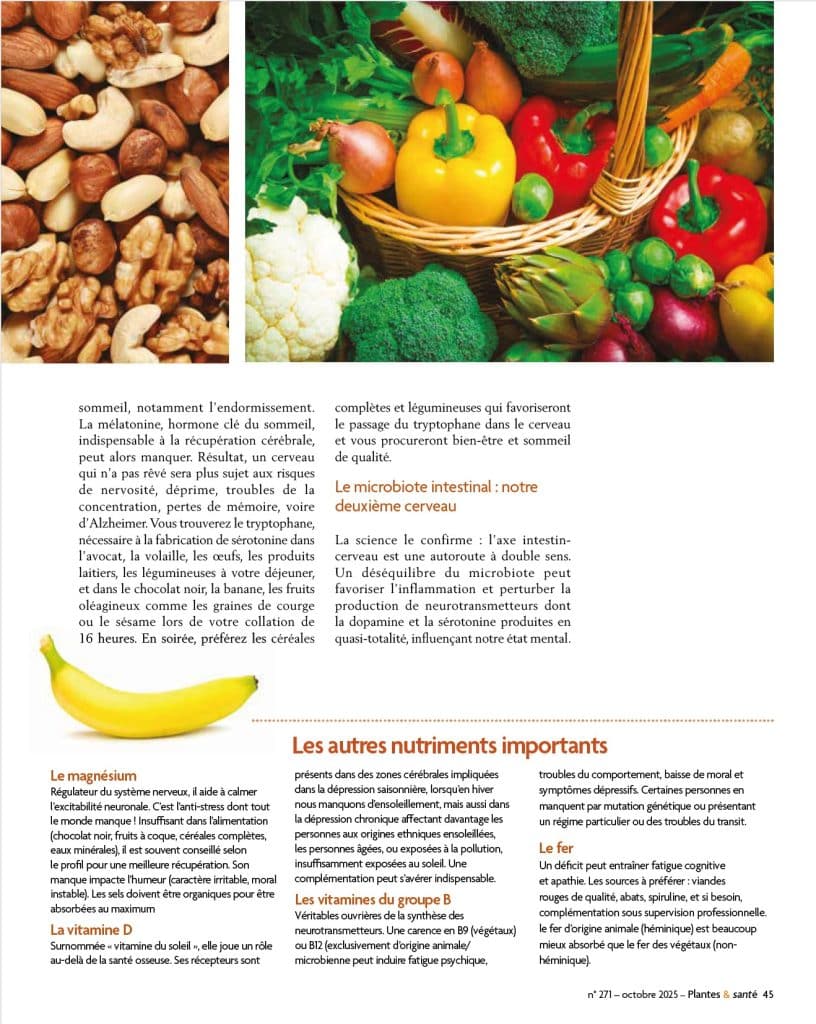 Plantes et Santé - Focus Nutrition - Santé Mentale Assiette 102025 Sonia Nutrition 3