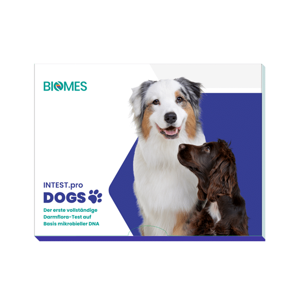 Intest.pro Dogs - Analyse de microbiote Canin