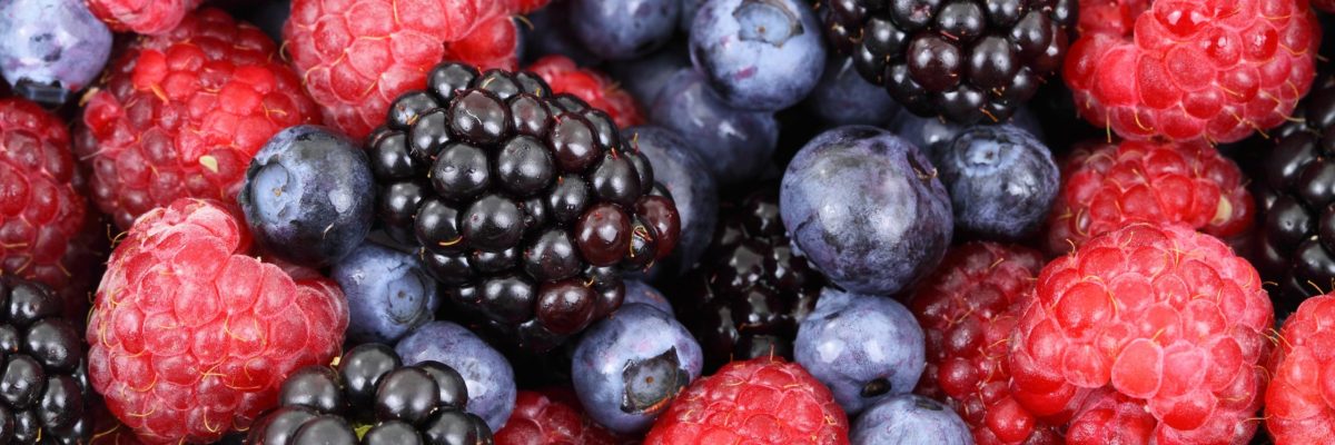 fruits rouges